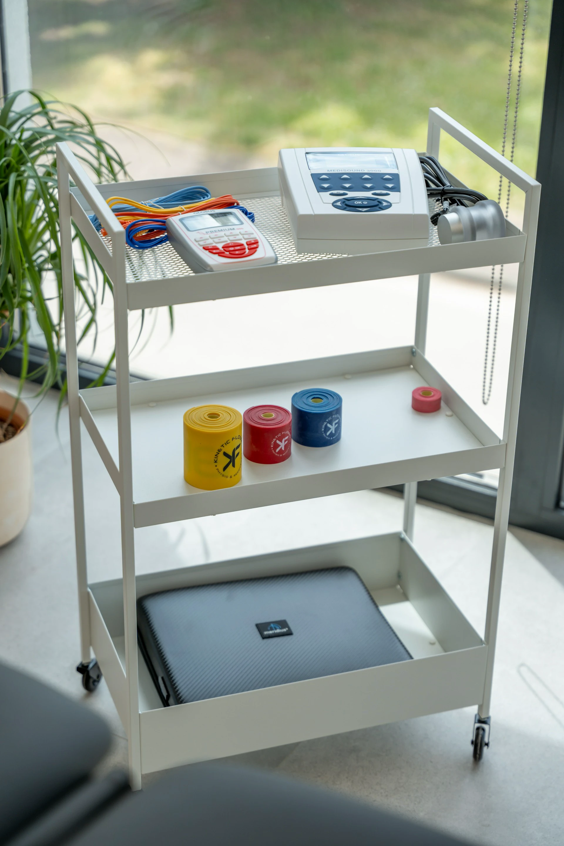 Fizinum Tretmani Uvod